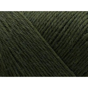 Arwetta Filcolana - 105 Slate Green