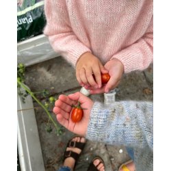 Monday Sweater Junior - PetiteKnit