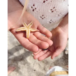 Rigmors Sommerbluse Junior - PetiteKnit