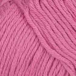 Viking Bj�rk - 564 rosa