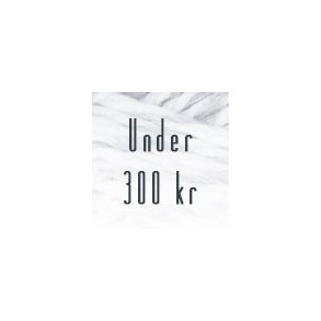 Gaveidéer under 300 kr. 