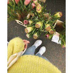 Holiday Sweater_PetiteKnit