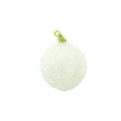 Rico Creative Bubble_16842_Jul